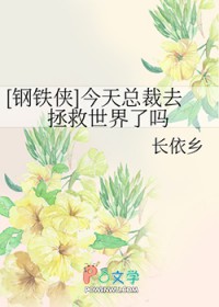 [钢铁侠同人] 今天总裁去拯救世界了吗